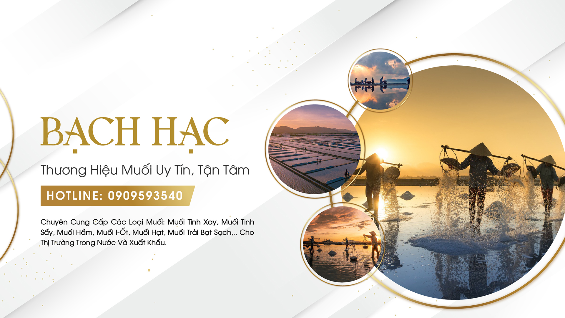 Banner Bạch Hạc