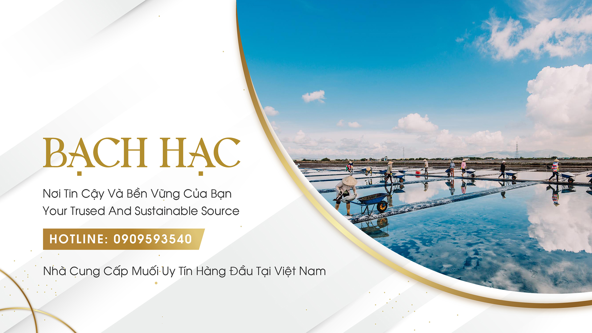 Banner Bạch Hạc